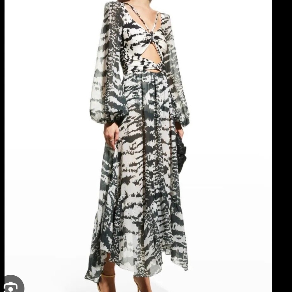 Patbo Alessandra Ambrosiso cutout zebra jersey and chiffon maxi dress size m